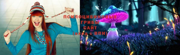 дмт Балахна