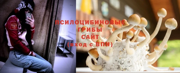 гидропоника Балабаново